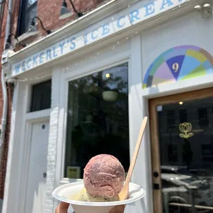 Roasted Strawberry Mint Chocolate Chip