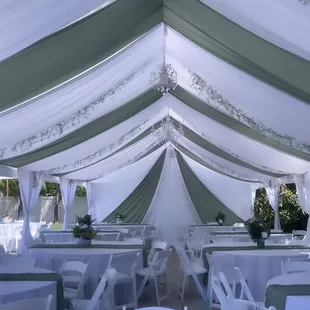 Our setup in the daytime with the beautiful added greenery