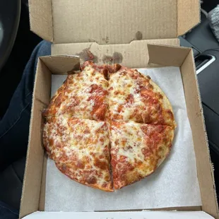 Plain Tomato &amp; Cheese Pizza