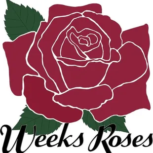 Weeks Wholesale Roses