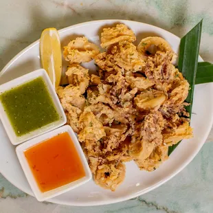 Fried Calamari
