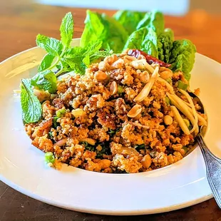 Crispy Rice salad with fermented pork called Nam Sod Kao Tod