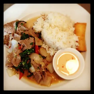 Spicy Thai Sweet Basil
