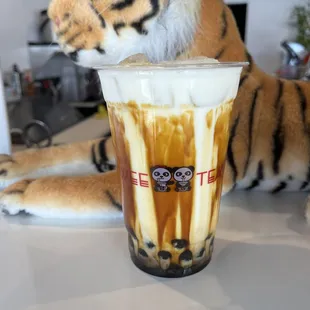 a stuffed tiger and iced coffee
