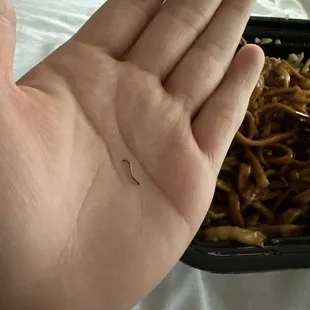 Combination Lo Mein with metal piece in it