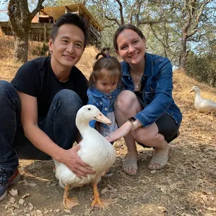 Nicole touching duck for the first time in her life