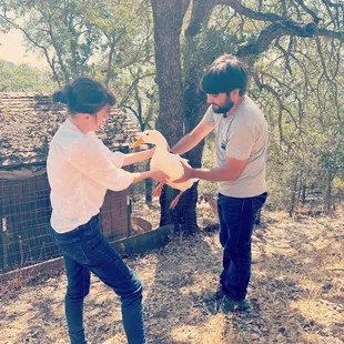 Our duck "duckless" enjoyed cuddling with our guests!