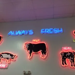 neon signs on a wall