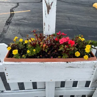 Cute flower box!