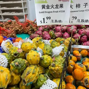 Gold Dragon Fruit