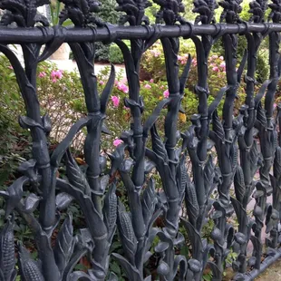 Cornstalk Fence