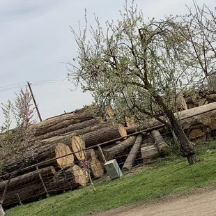 Logs custom cut to your specifications