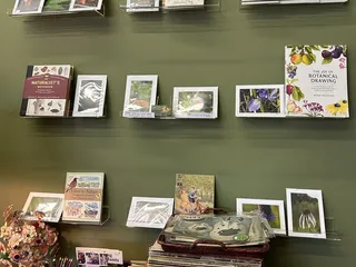 The Vintage Storyteller