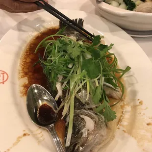 Steamed Fish