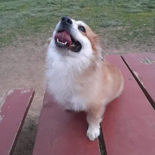 Tails, 8 months later.