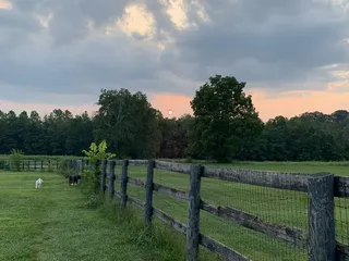 Masterson Station Dog Park