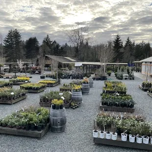 A view of Wells Medina Nursery.