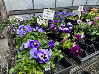 The Nursery At Mount Si