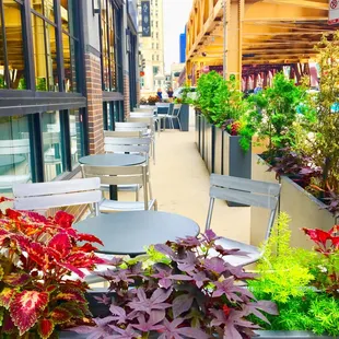 Gorgeous Outdoor Seating surrounded by flowers and foliage July 2019 for Patrons