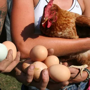 on-farm egg sales from our own Wellspring flock!