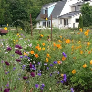 flower beds on the property