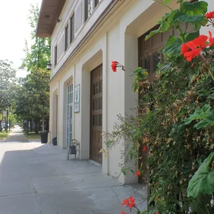 Wellspring Women's Center