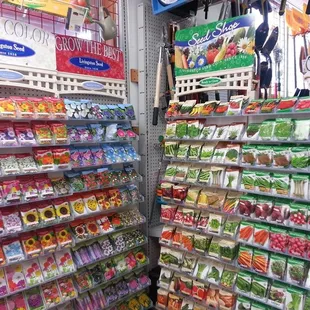 Spring is on the way!