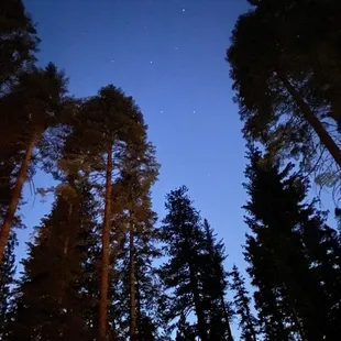 View of the starry night sky above the site