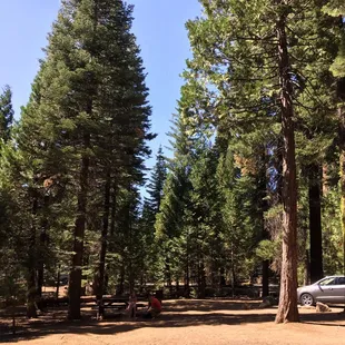 Site 73 before we set up. Lake is to the left.