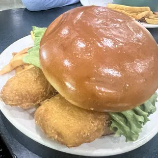 Fish Fillet Sandwich &amp; Frozen Fries
