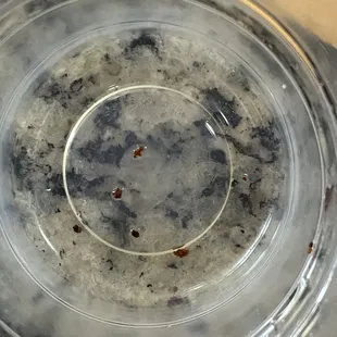 Tiny pieces of ground beef