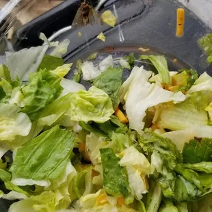 a salad in a plastic container