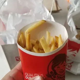 a hand holding a cup of french fries