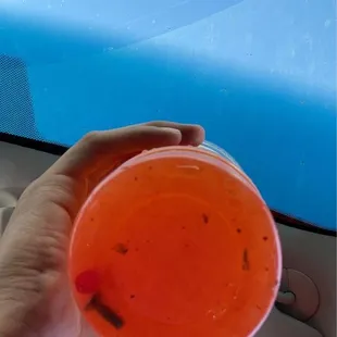 This experience i had at this establishment is putrid and horrible at the most .