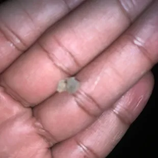 a tiny piece of rock in the palm of a person's hand