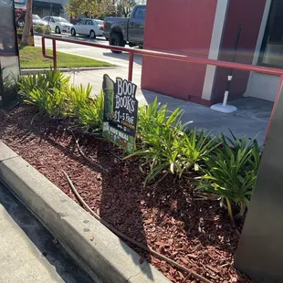 outside, sushi and sashimi