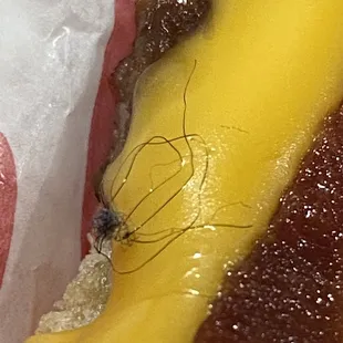 Hair in burger