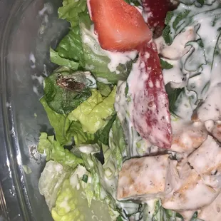 Dead bug in the salad.