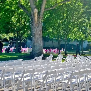 Wedding season is here!