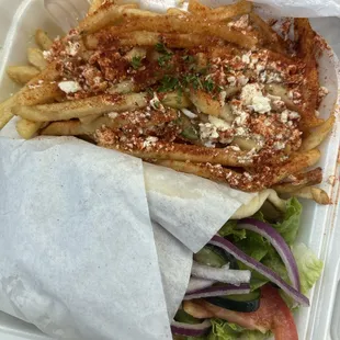 Greek Fries and Chicken Shawarma Wrap