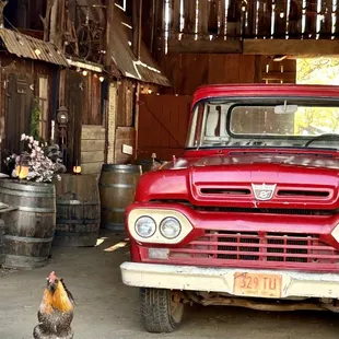 Old farm truck and chandelier
