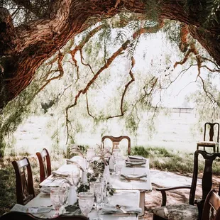 Vow renewal set-up in the Pepper Tree Pasture featuring West 12 Ranch Event Rental furniture and the bride's table settings.