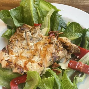 Grilled Chicken Sandwhich