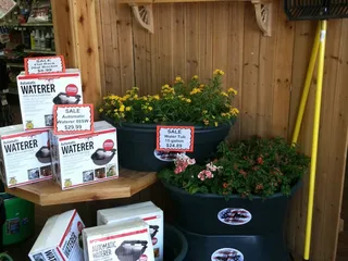 Arizona Feeds Country Stores