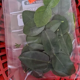 Fresh kefir lime leaves