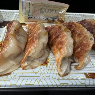MKE Bento - Gyoza