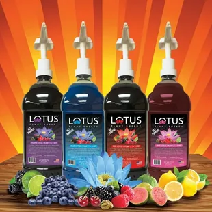 Lotus