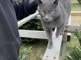 Cedarburg Creek Farm