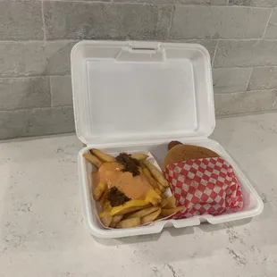 Spicy Chicken sandwich and fries- animal style