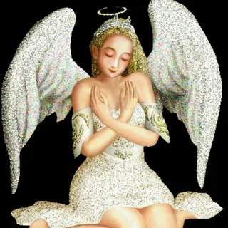 Shelly M.